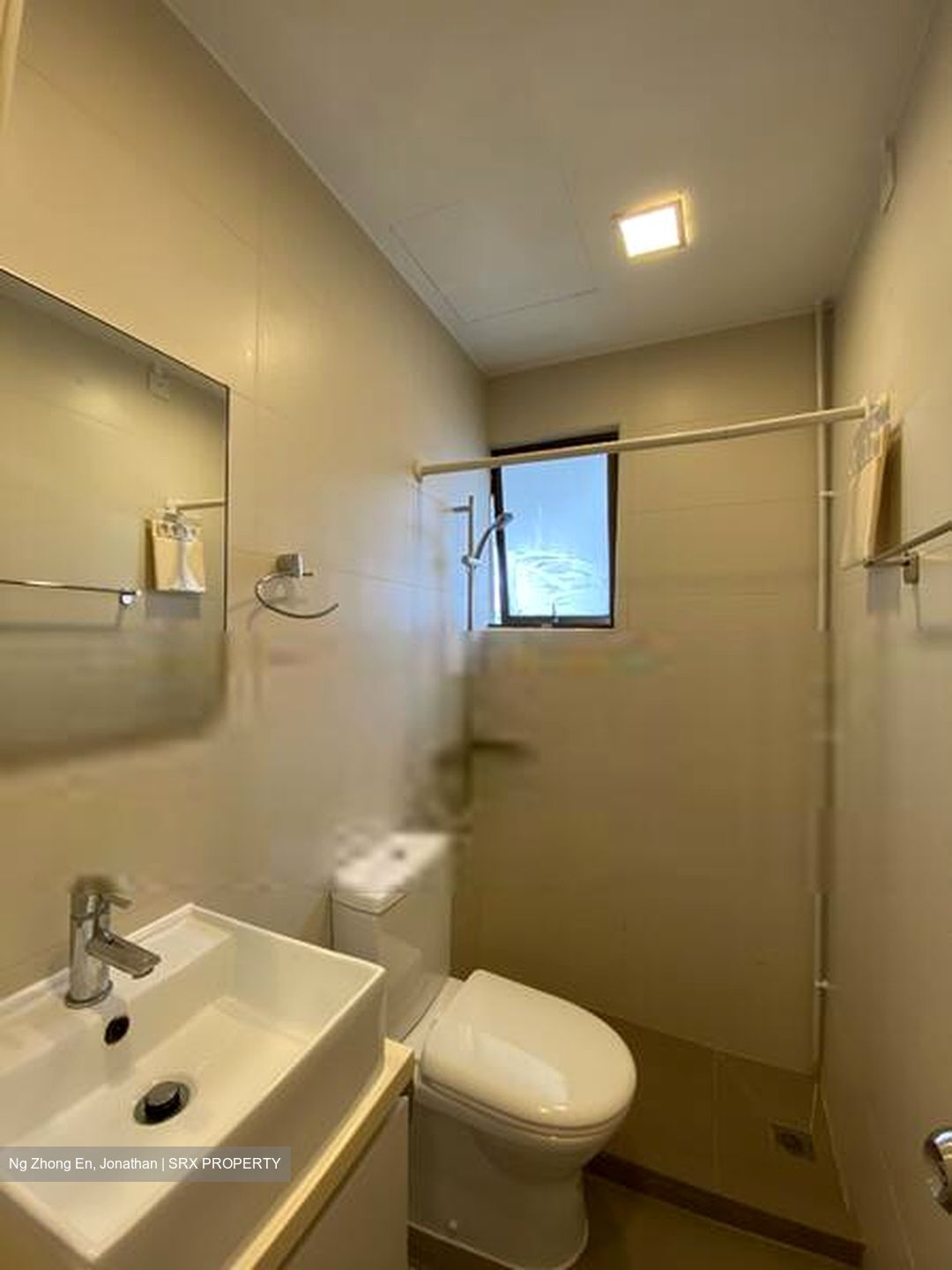 Pastoral View (D11), Apartment #410117401